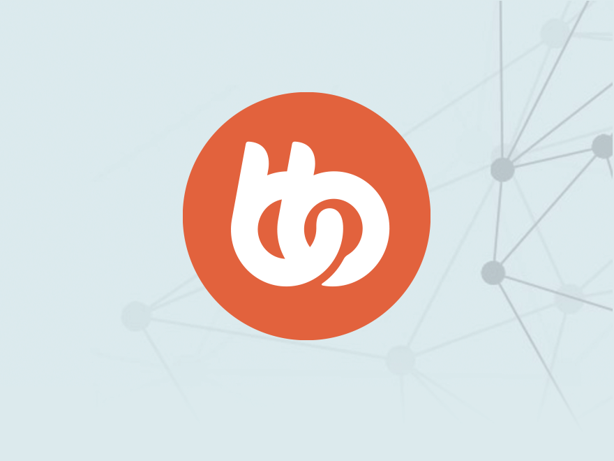 BuddyBoss Website