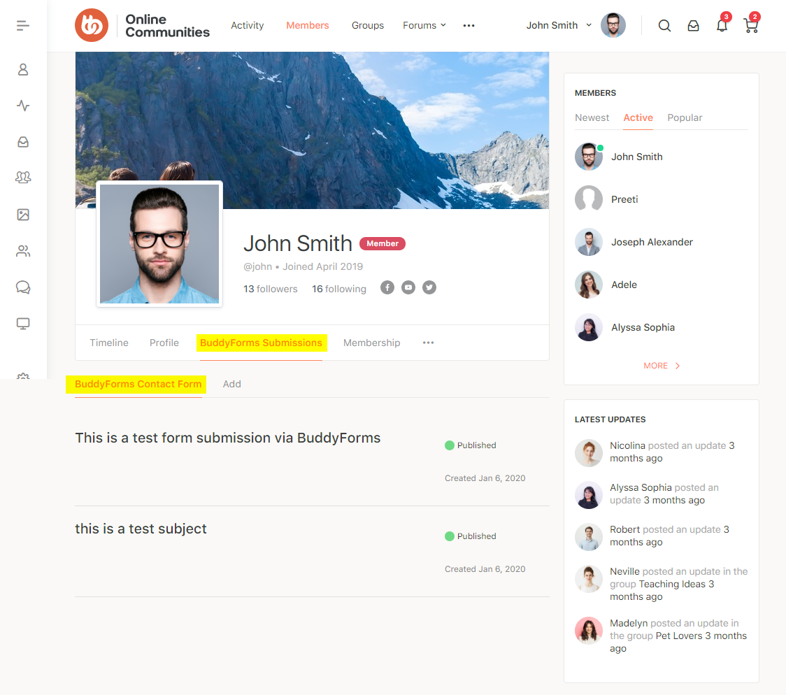 BuddyForms Members   Form submissions preview on a user's profile