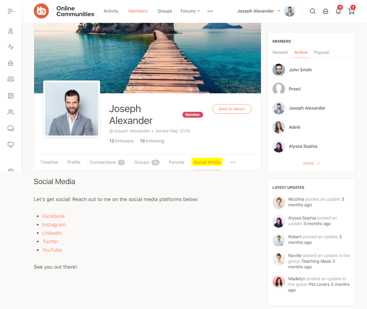 Buddypages Profile Page Preview | BuddyBoss BuddyPages Profile page preview
