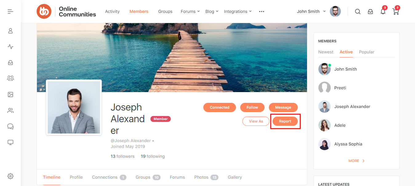 BuddyPress Moderation Tools   Reporting a user