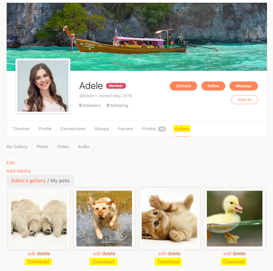 MediaPress Downloadable Media   Download button for media