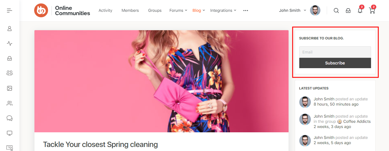 Newsletter Preview Of The Form Widget On A Page Or Post | BuddyBoss Newsletter Preview of the form widget on a page or post