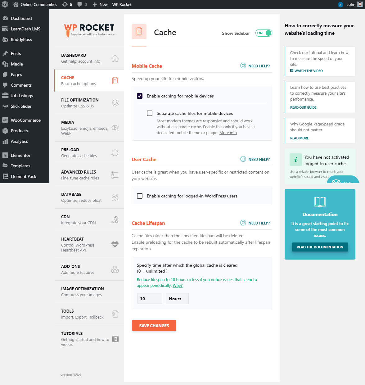 WP Rocket  Setting up the plugin