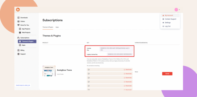 image | BuddyBoss image