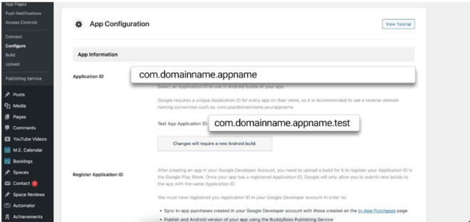 App Configuration page in Google Play Console showing Application ID comdomainnameappname and test ID comdomainnameappnametest