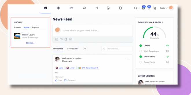 This screenshot shows how the Social Groups Widget will be displayed