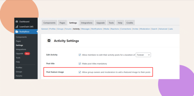 image | BuddyBoss image