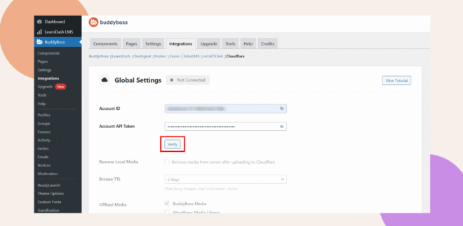 A website dashboard displays the BuddyBoss integrations settings page showing fields for Account ID and Account API Token with a Verify button highlighted in red below the token field