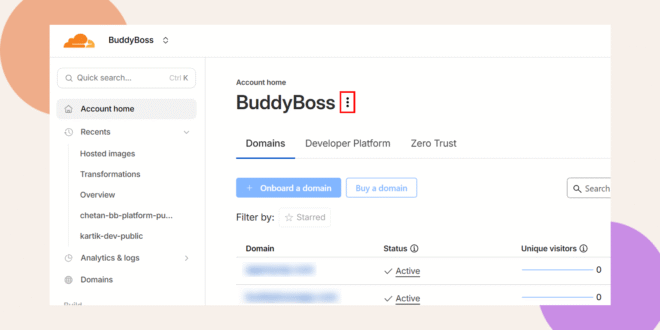 Screenshot of the BuddyBoss account home page showing navigation on the left with tabs for Domains Developer Platform and Zero Trust and buttons to onboard or buy a domain