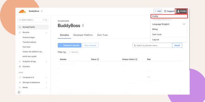 A dashboard for BuddyBoss is displayed with the Profile option highlighted in the top right dropdown menu The left sidebar shows navigation options and domains information is visible in the main panel