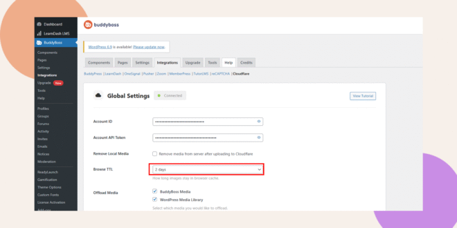 A BuddyBoss dashboard shows the Cloudflare integrations settings with the Browse TTL field highlighted and set to 2 days The interface features a white background and colored shapes in the corners