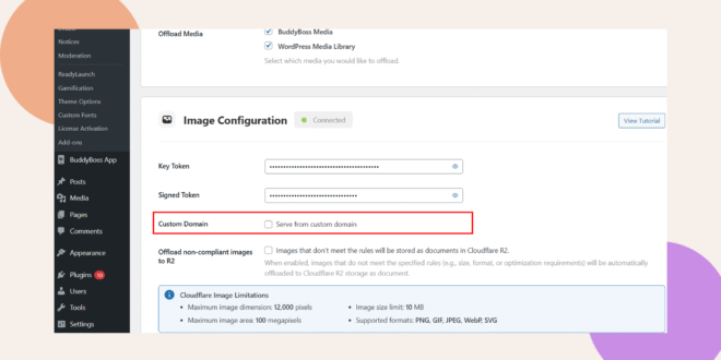 Screenshot of a WordPress admin settings page showing the Image Configuration section with the Custom Domain option outlined in red The menu on the left lists site management options