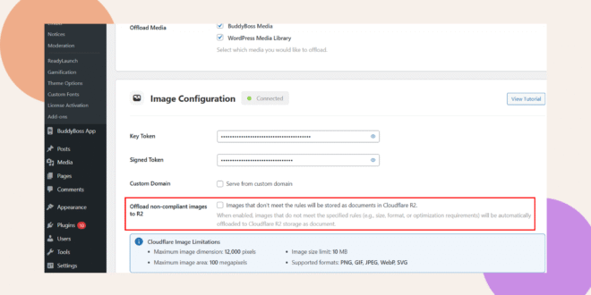 Screenshot of a WordPress plugin settings page highlighting the Image Configuration section with an option to offload non compliant images to Cloudflare R2 and details about image limits and formats