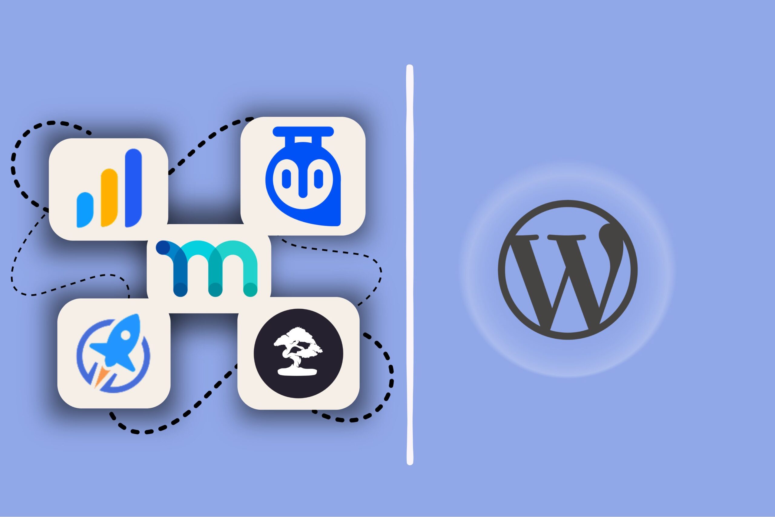 learning management systems for WordPress5