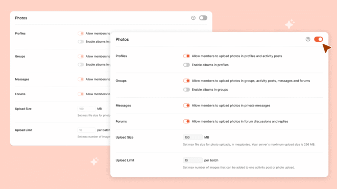 BuddyBoss modular admin showing only active modules with clean settings layout