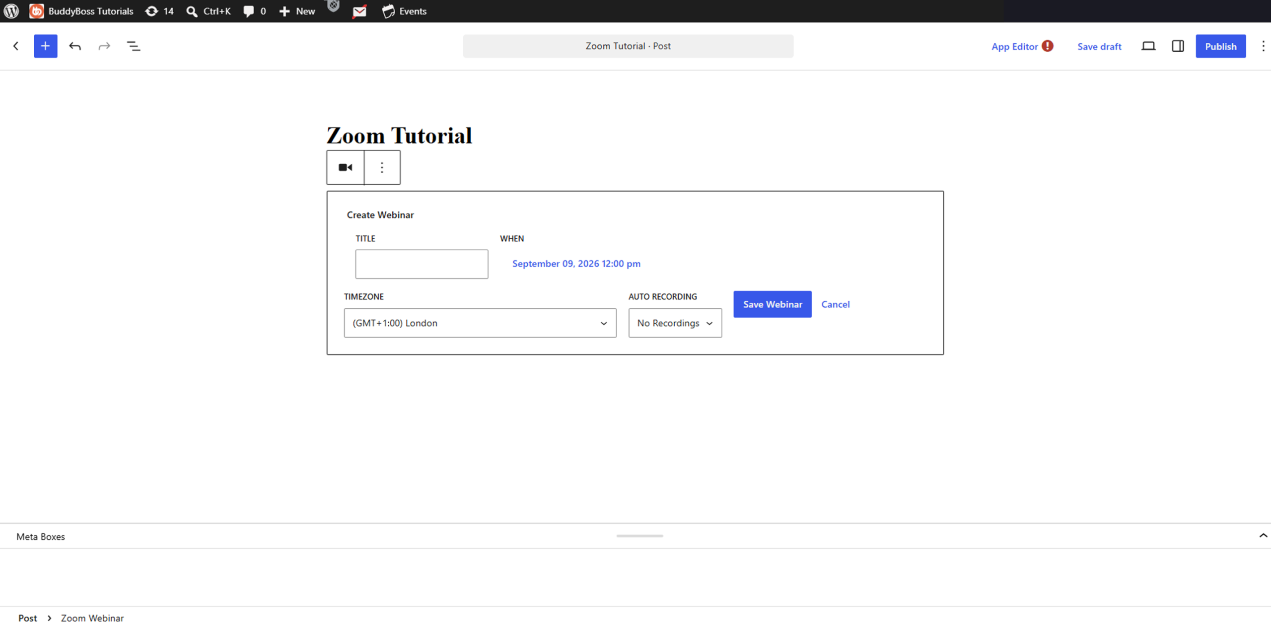 Zoom 16 | BuddyBoss Zoom Meetings and Webinars in BuddyBoss