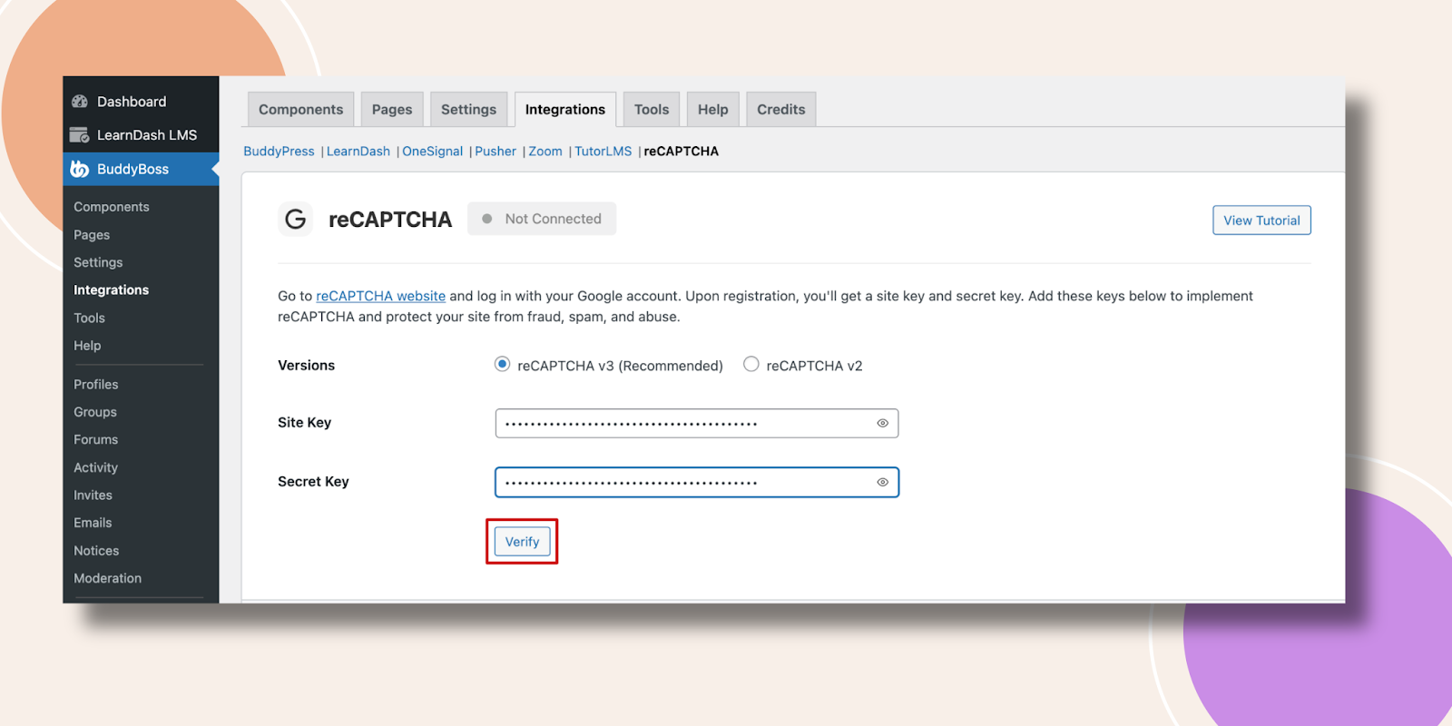 WordPress admin BuddyBoss reCAPTCHA integration page with Site Key Secret Key fields and Verify button