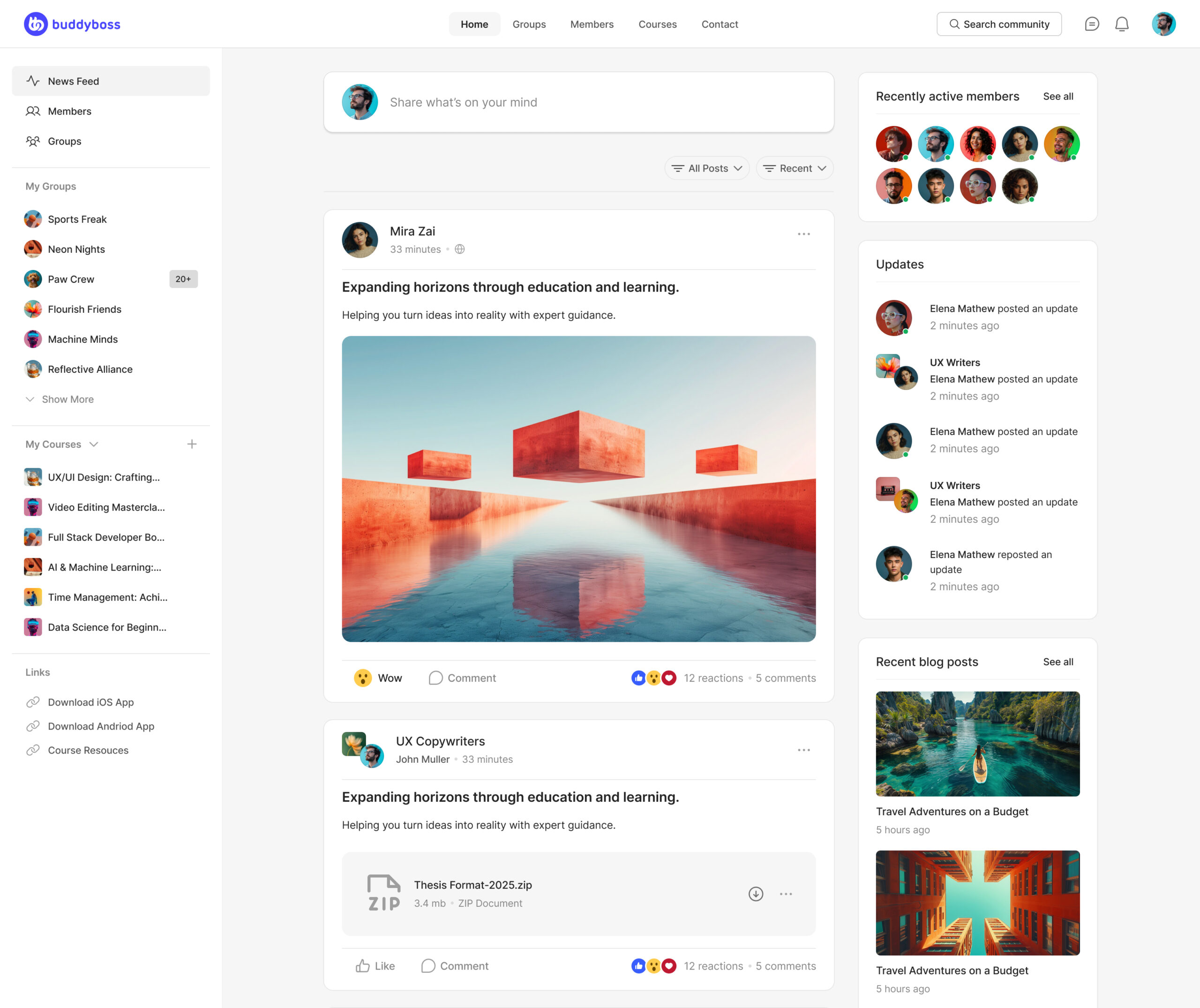 BuddyBoss community news feed and activity screens