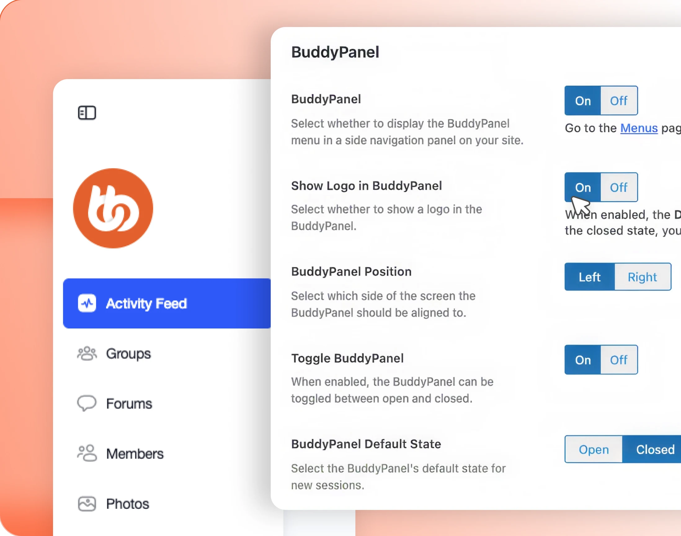 The BuddyPanel settings and the side navigation rail they control
